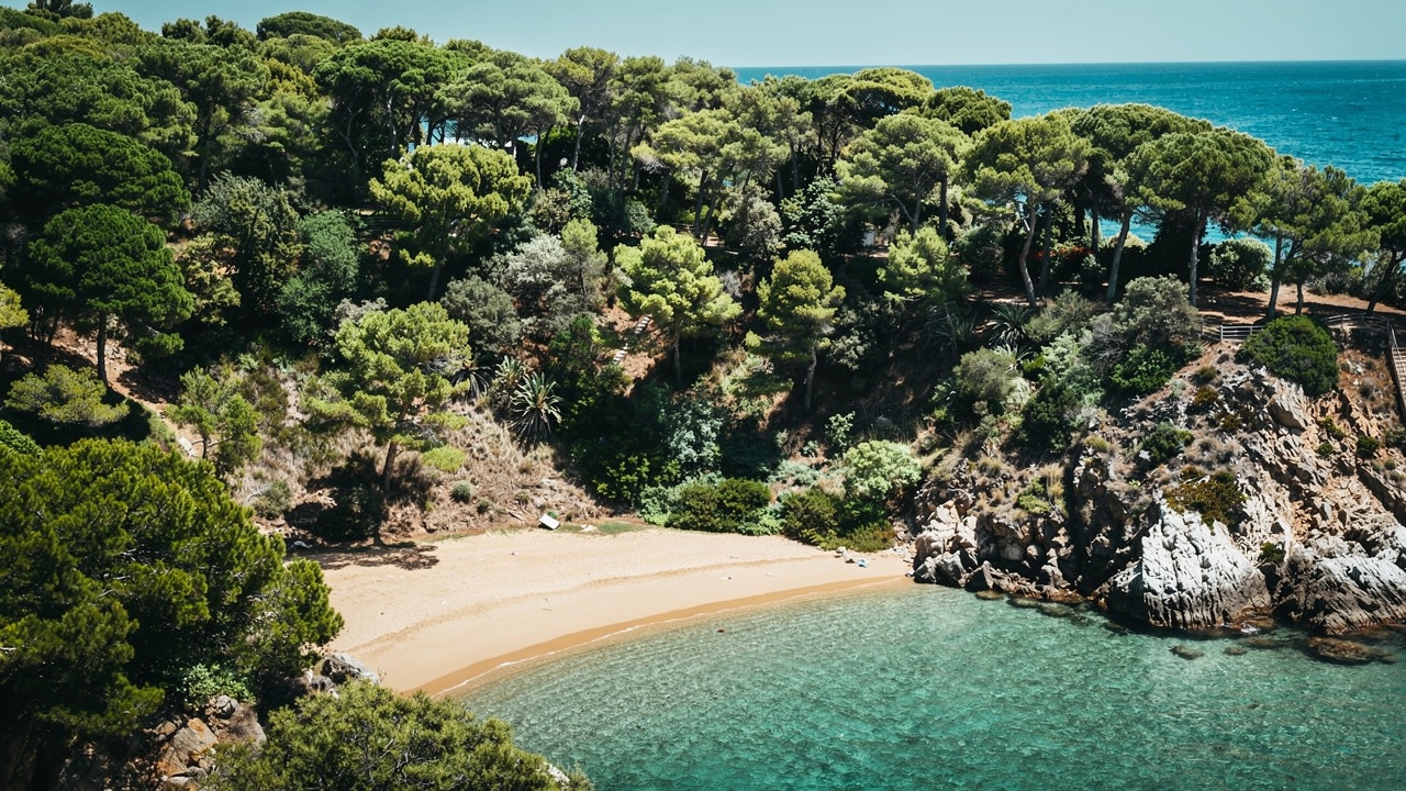 Cala escondida virgen de la costa de Blanes con arena dorada, aguas turquesa cristalinas y acantilados con pinos mediterráneos, sin construcciones a la vista