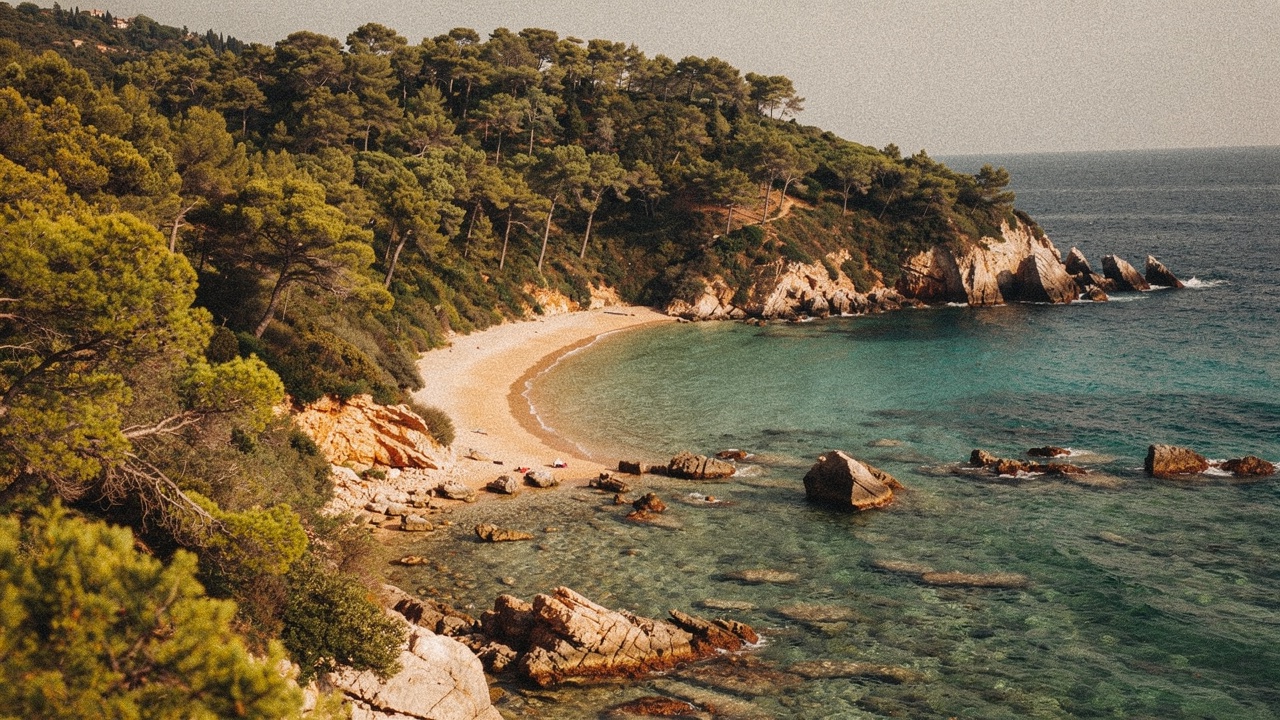 Cala secluded mediterránea de Lloret de Mar con franja de arena dorada rodeada de pinos densos en los acantilados, aguas turquesa cristalinas y pequeñas rocas en el agua a la luz matinal